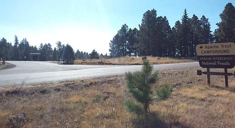 Apache Trout Campground entrance