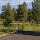 This site has a picnic table and grill in a grassy area to the back of the parking slot. There are a few trees that are in the background. 