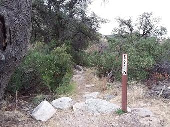 Arizona Trail