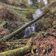 Waterfall on Elliott State Forest land accessed from Loon Lake day use area.