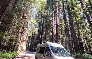 Driftwood Dreamers Camper Van/pet friendly