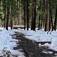 Upper Pines snow-plowed road