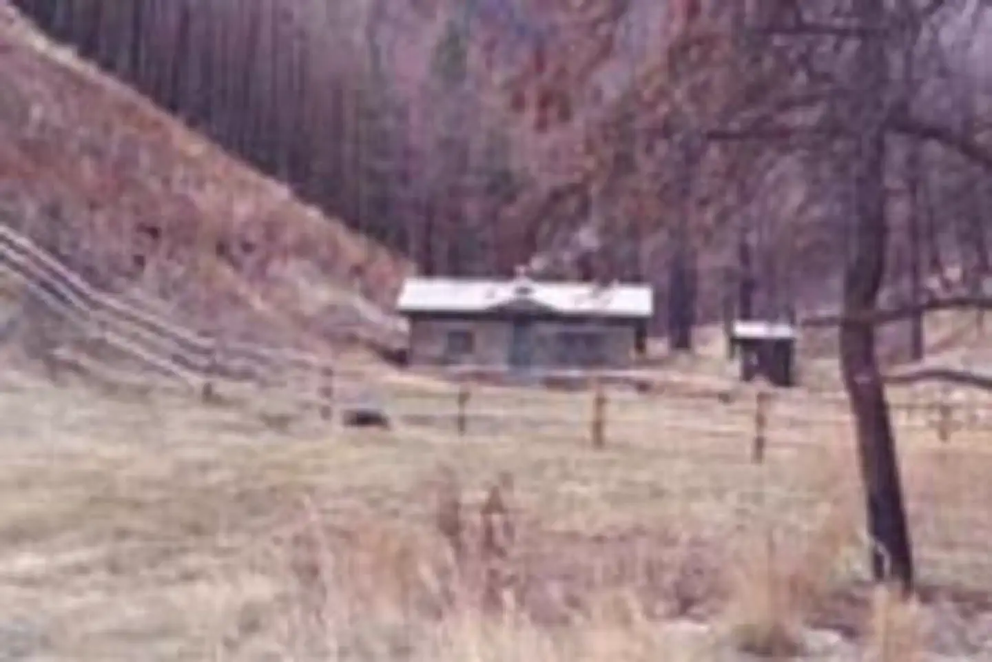 Bar Gulch Cabin