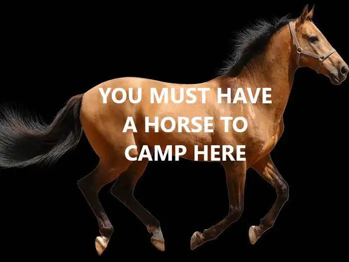 Tuolumne Horse Campsites
