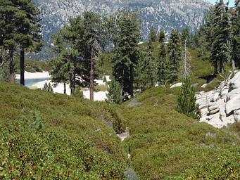 Shady Cove Trail