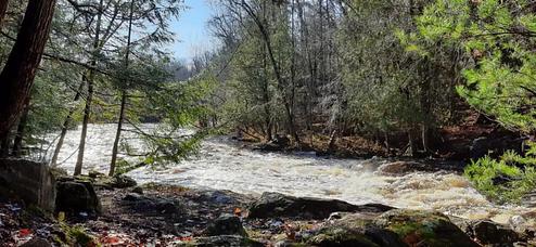 A photo of facility Bagley Rapids Campground 