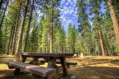 Jack Creek Campground