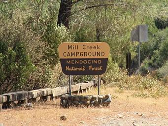 Mill Creek Campground, Mendocino National Forest