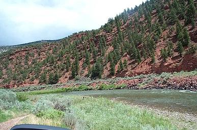 Cottonwood Site 
