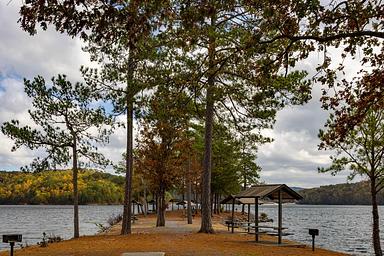 Woodring Day Use Area Picnic Area