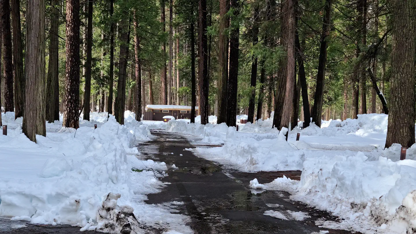Upper Pines Campground