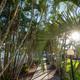 Encore Miami Everglades