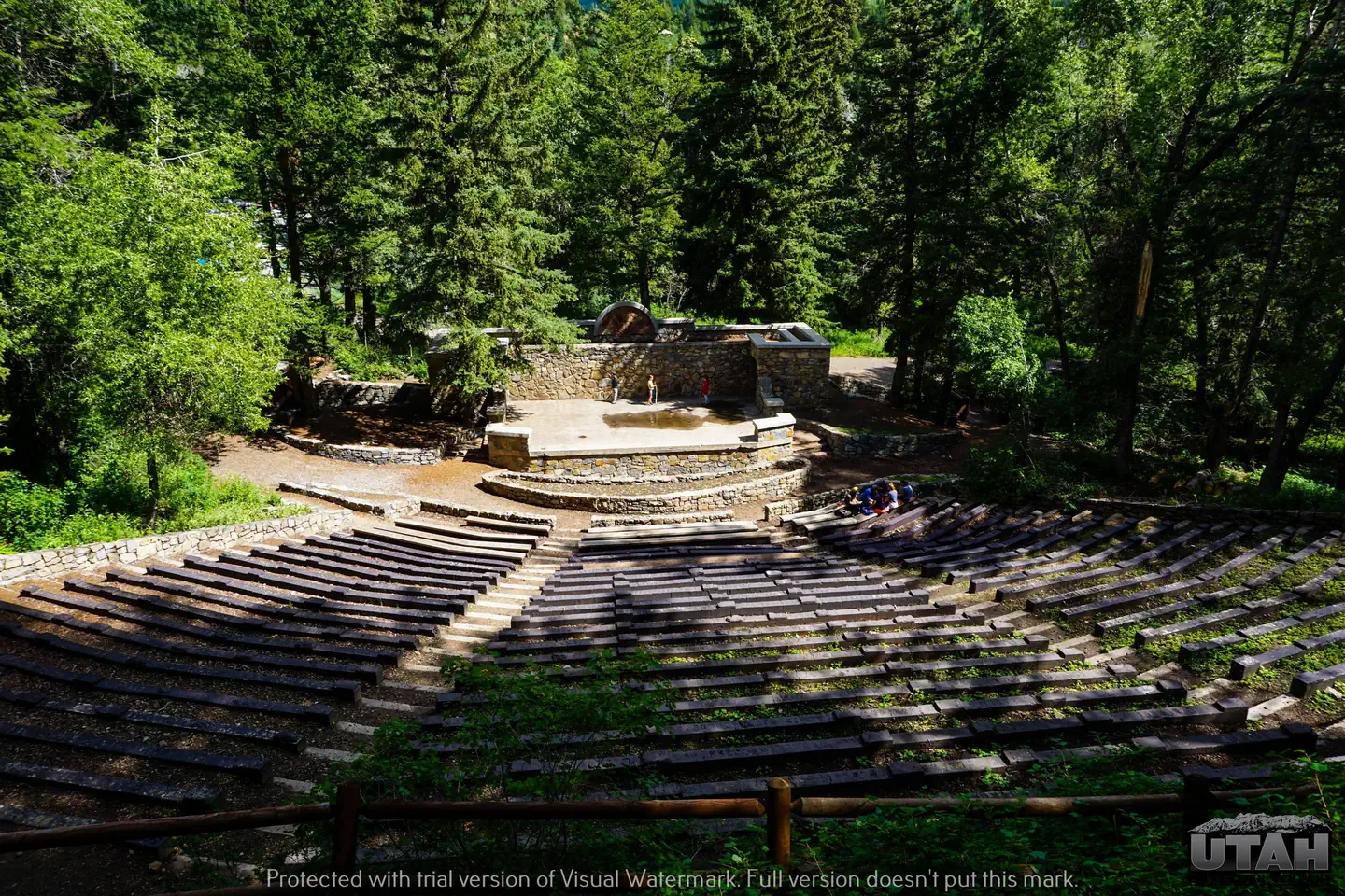 Theater in the Pines
