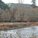 Nearby Umpqua River