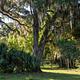 Campground image 1