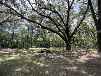 Ocklawaha Prairie Restoration Area Hike-In SJRWMD