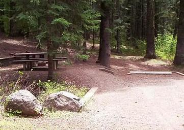 Campsite 4 in Spring Creek Campground.