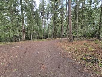 Threehorn Campground 