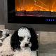 Maggie - Where everyone fits around the campfire