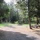 PINE NEEDLE GROUP SITE