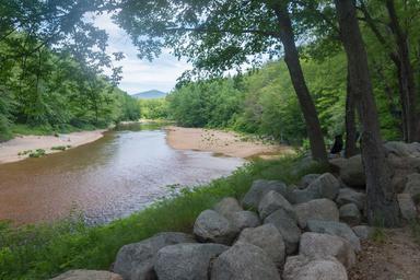 Scenic riverside overview showing the Saco River, sandy banks and river-edge trees — useful as an overall grounds/landscape photo; appears on the property site as a background/feature image for river views.