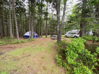Sherwood Forest Campsite