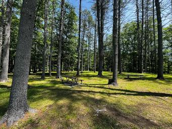 Townshend Lake Recreation Area