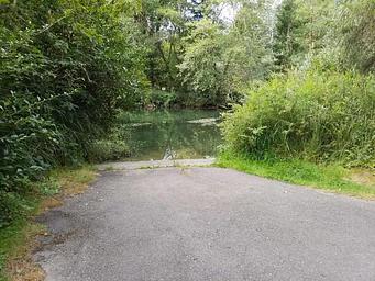 Paved boat ramp flanked by shrubs at the shore of a still, green waterway.