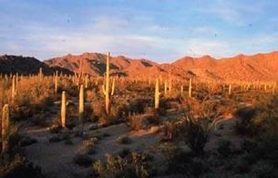 South Maricopa Mountains Wilderness Area