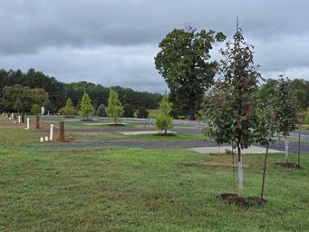 Bison Trail RV Park