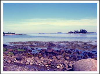 Lobster Buoy Campsites