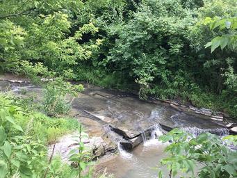 Pleasant Creek Campground