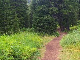 COTTONWOOD GROUP CAMPSITE