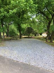 Front-facing campsite view with gravel pad, picnic table and wooded surroundings — representative guest site image from the property’s Sites page.