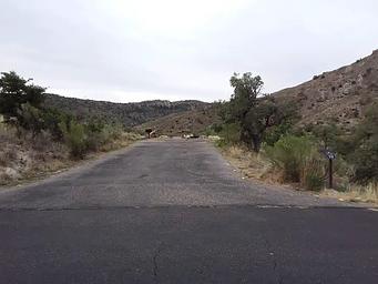 Molino, Loop: MOLINO