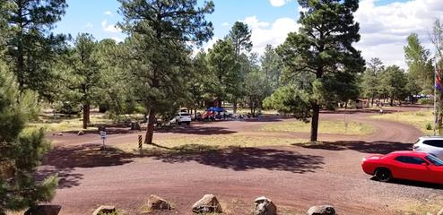 Show Low Lake Campground