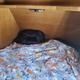 2014 CrossRoads RV Sunset Trail Super Lite ST300BH