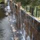 Water falling from Whittaker Creek dam. 