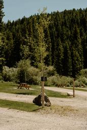 Moose Creek Ranch