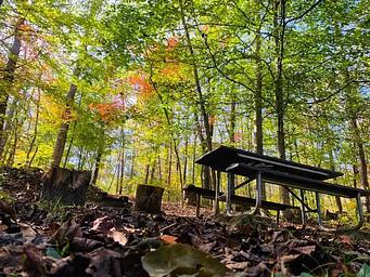 Wilderness Road Campground
