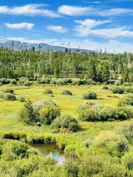 Old Homestead Campground LLC