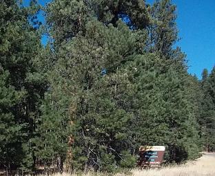 San Antonio Campground entrance