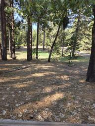 Camp Growlersburg