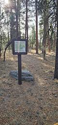 Idlewild Loop Trail sign