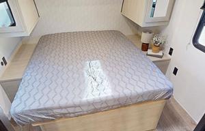 J&M Torres Family palomino