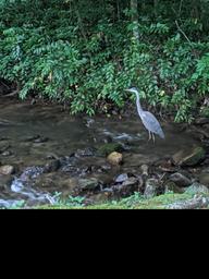 Campspot slideshow image 2