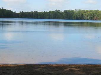 Luna White Deer Beach