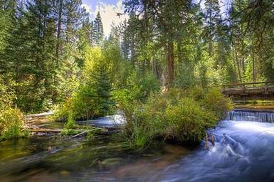 Jack Creek Campground