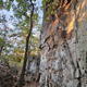 Crimper Ridge