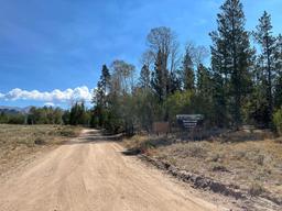 Blucher Creek Campground